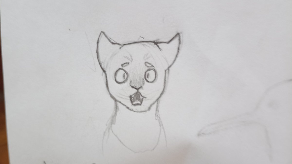 akemyhuill02's tweet photo. Dibujos de Pantalaimon!!:D✨ #Daimonion #La brujula dorada https://t.co/qFRTcTTjS6