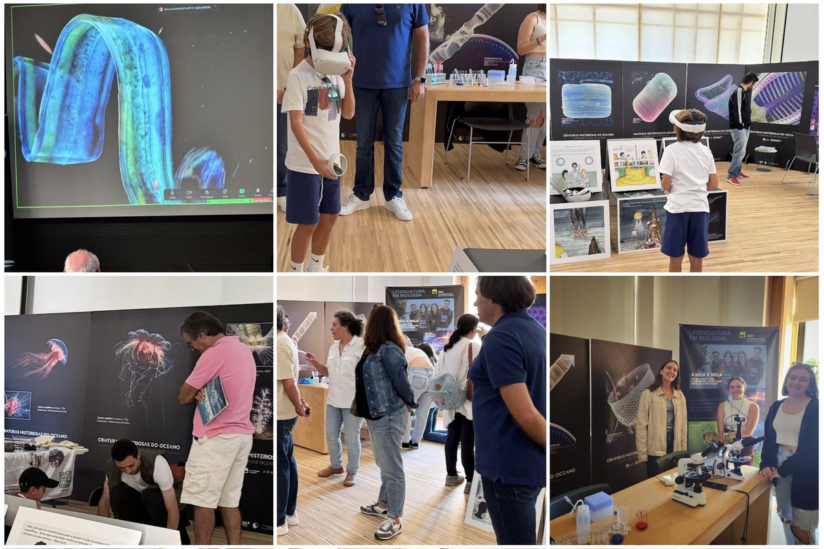 BlueNIGHTs Torreira 2024 | Uma tarde diferente, com conversas e atividades diferentes, assinalando o evento da Noite Europeia dos Investigadores! Agradecemos a todos os visitantes e àqueles que tornaram esta edição 2024 possível!!!!#bluenightstorreira #EuropeanResearchersNight