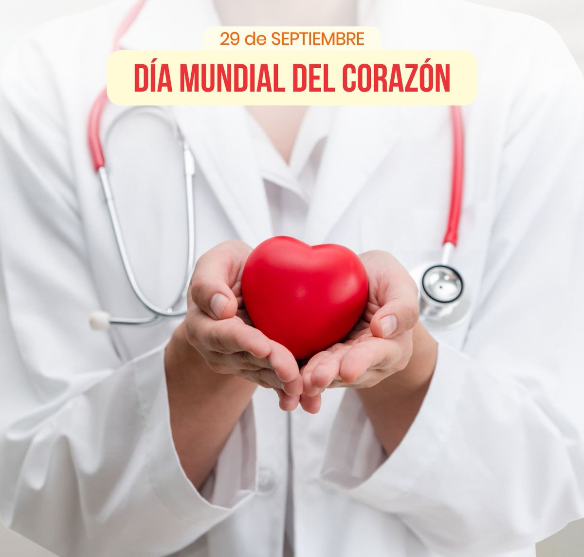 codincam's tweet image. Hoy tenemos que destacar la celebración del día Mundial del Corazón ❤️. Cuídalo con buenos hábitos!! 🍉🍓🚴 y no olvidemos tomar conciencia del desperdicio alimentario. Aprovecha todos los alimentos.