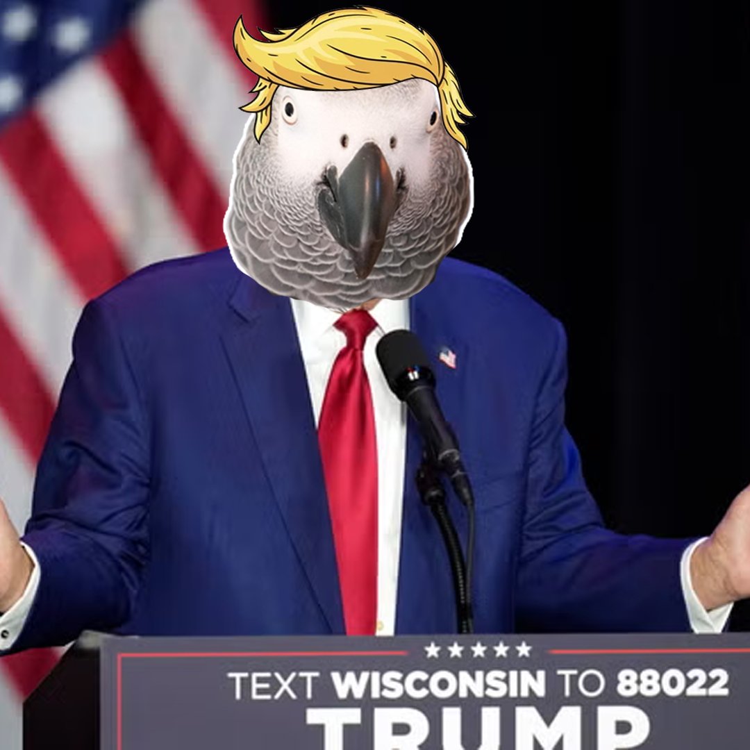 Apollo tweet media