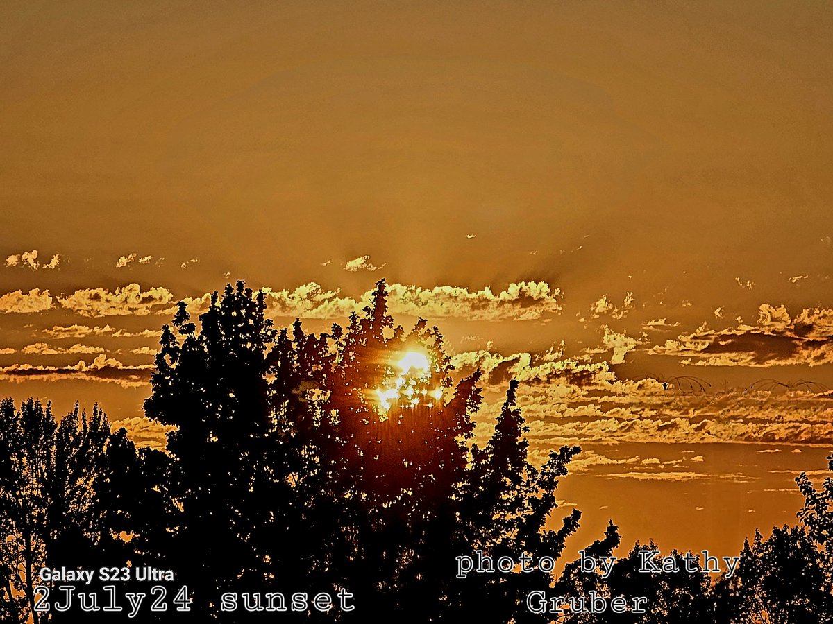 Kathy Gruber aka SweetSchatz (@sweetschatz69) on Twitter photo 