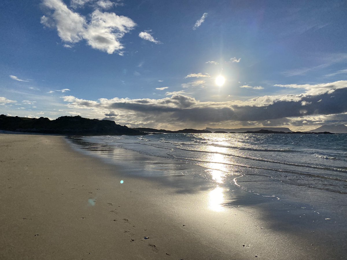 Lorna Gamberini 💙 tweet media