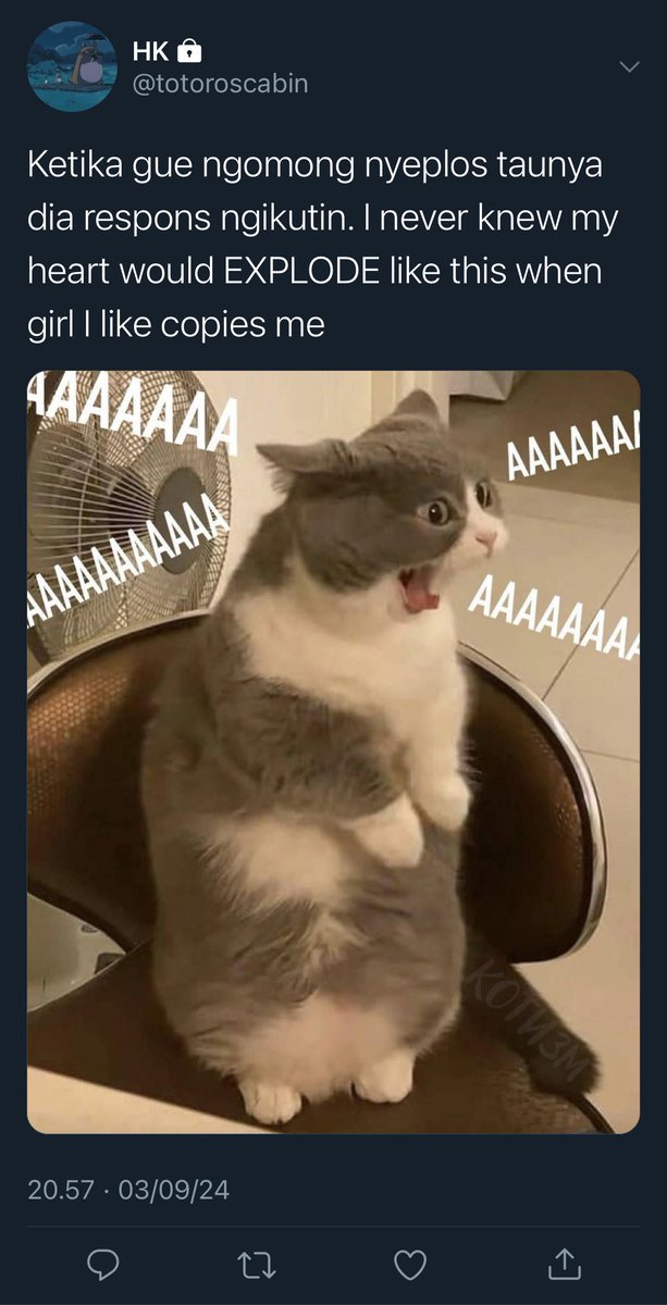 170 — Butterflies >>>