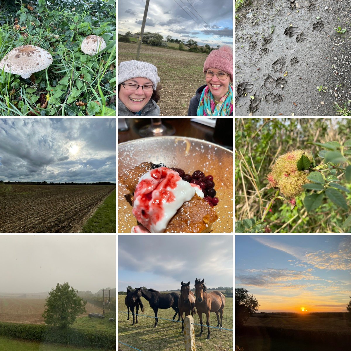 MiniMapMakers's tweet image. #GetOutsideDay I did it was awesome! Nature rocks