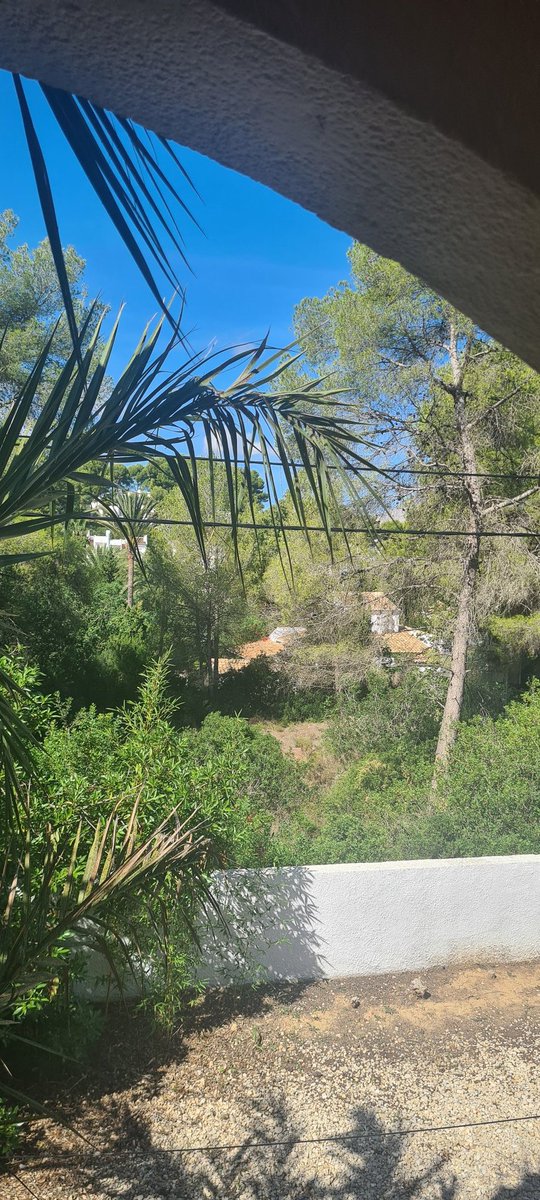 DigiGranBiz1's tweet photo. Sunday bliss in The Hills Above Javea.
Back to Ireland on Thursday.
#latesummerhols
#digigran
#digigrantravel
@ArleneHarris11
@MyLovelyHorseR
@philipnolan1
@Tweetinggoddess
@FlyCruiseStay
@johnstf https://t.co/SeoHMagQ2N