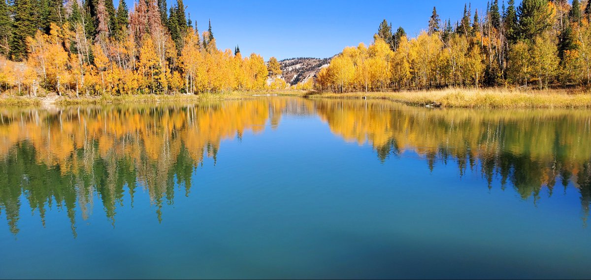 KSL5TV's tweet photo. Linda O'Brien 📷 shared this photo from the Arapeen Trail on our As You See It page. Thanks Linda! See more at: https://t.co/hMzyNz900Z
#AsYouSeeIt https://t.co/2JBrQEmxwq