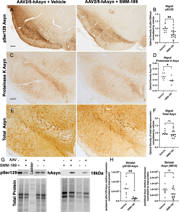 The Science of Parkinson's tweet media