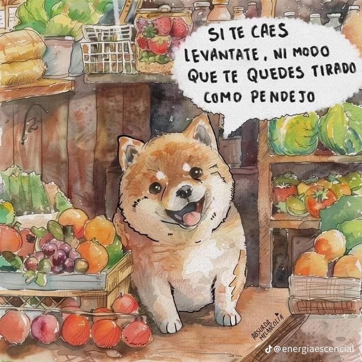 Jayk✿ (ad'min🍯) partido antiqueri tweet media