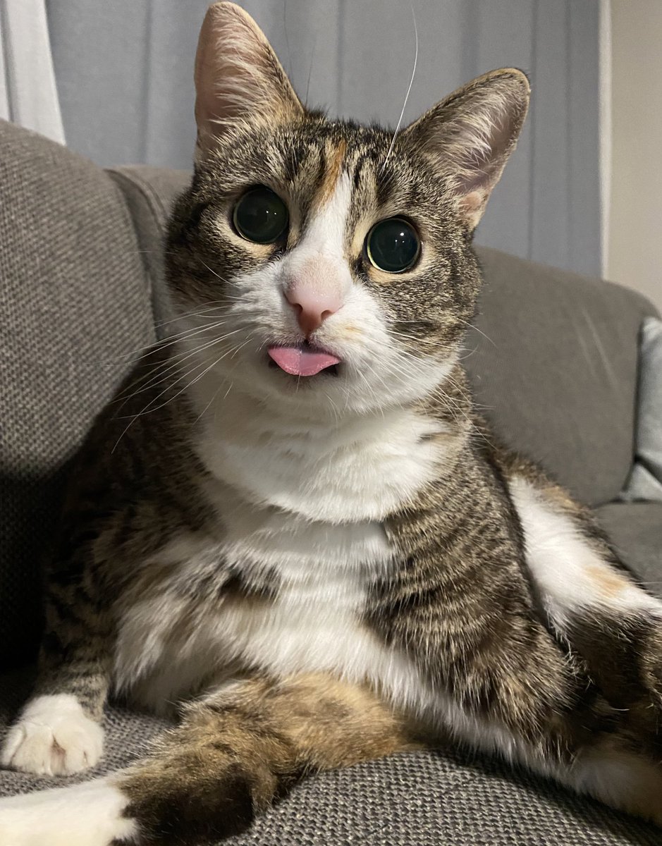 Edepsizlik sen ne güzel şeysin