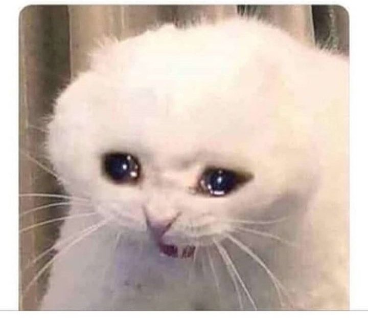 Más de un mes las facus se preparan para la NI, alegoría, estructura y todo el kilombo que conlleva hacerlo bien! Y como si nada compraron todo, sin importarles el esfuerzo! Cómo piensan que las unimpiadas sigan teniendo la misma emoción con estos robos🤐