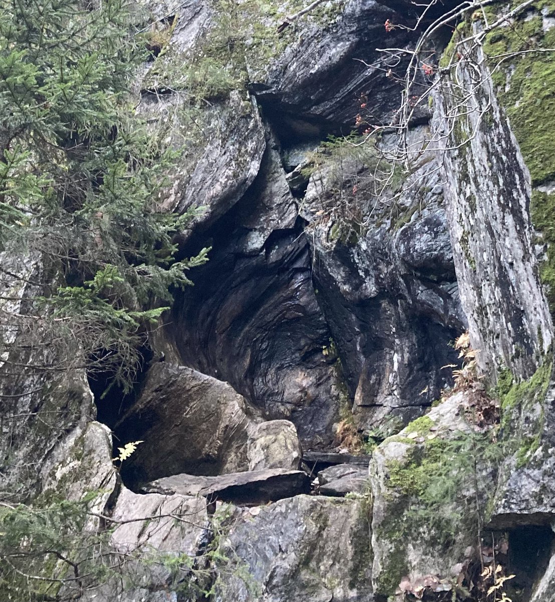 Tänään olin vanhassa metsässä, jossa puut ovat kaatuilleet silloin, kun kaatuilemisen aika on tullut ja elinkaari saa jatkua maassa hitaasti maatumalla. Pysäyttävää oli seistä jääkauden muokkaaman hiidenkirnun muotoja katsellen. #tiilikkajärvenkansallispuisto