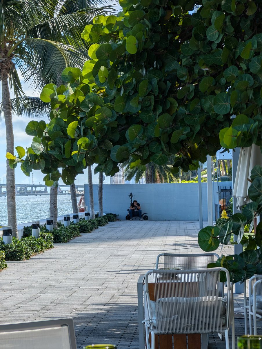 With all the new buildings in Edgewater why was a boardwalk not imposed on all the shoreline? <a href="/FrancisSuarez/">Mayor Francis Suarez</a> <a href="/MiamiDadeCounty/">Miami-Dade County</a>