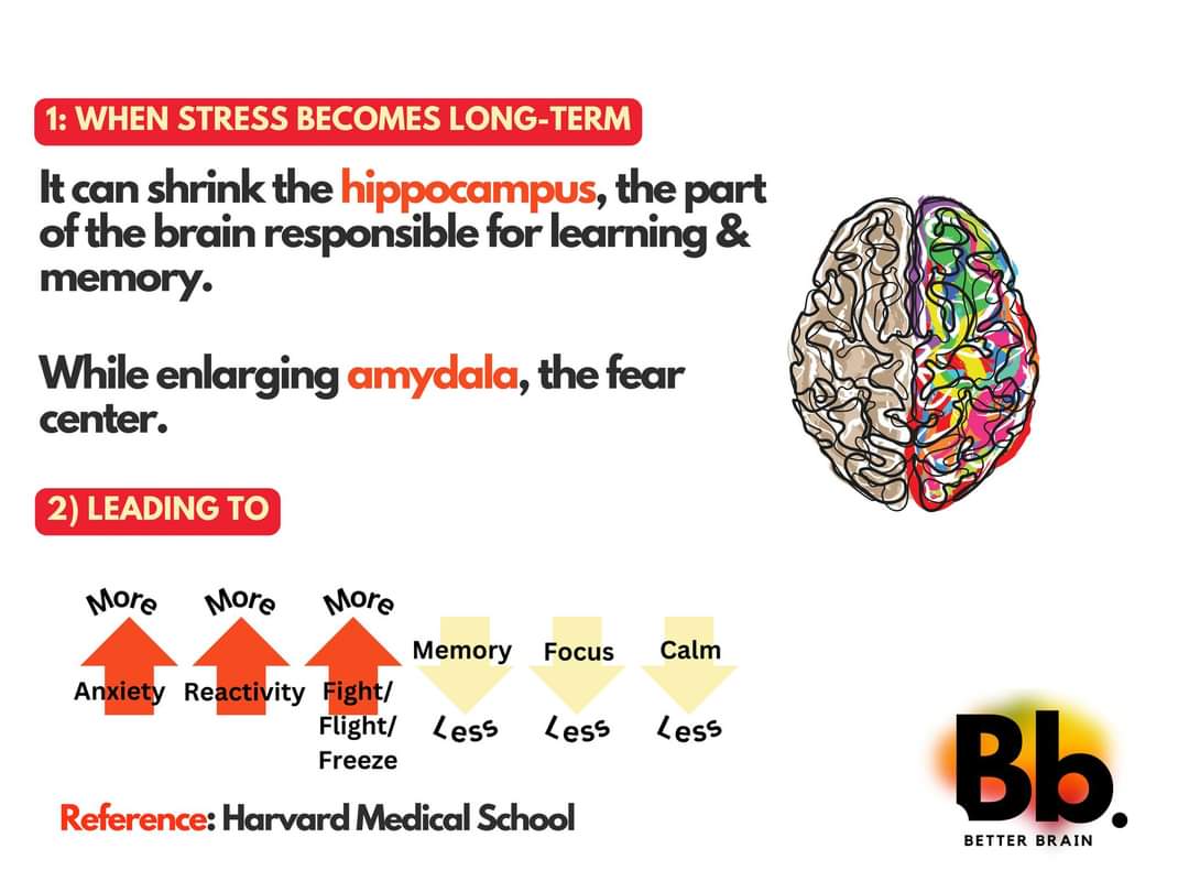This is exactly why anyone who works with young people need to be  trauma informed/responsive and to really understand the science and biological content of developmental trauma and 
how toxic stress and adversity impact  brain circuit  development.🧠🌱