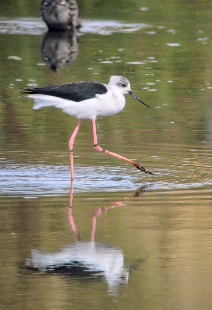 Jonni Price tweet media