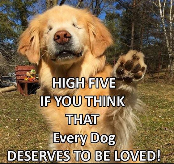 Beyond_theleash's tweet photo. https://t.co/PxRdMKIwFq