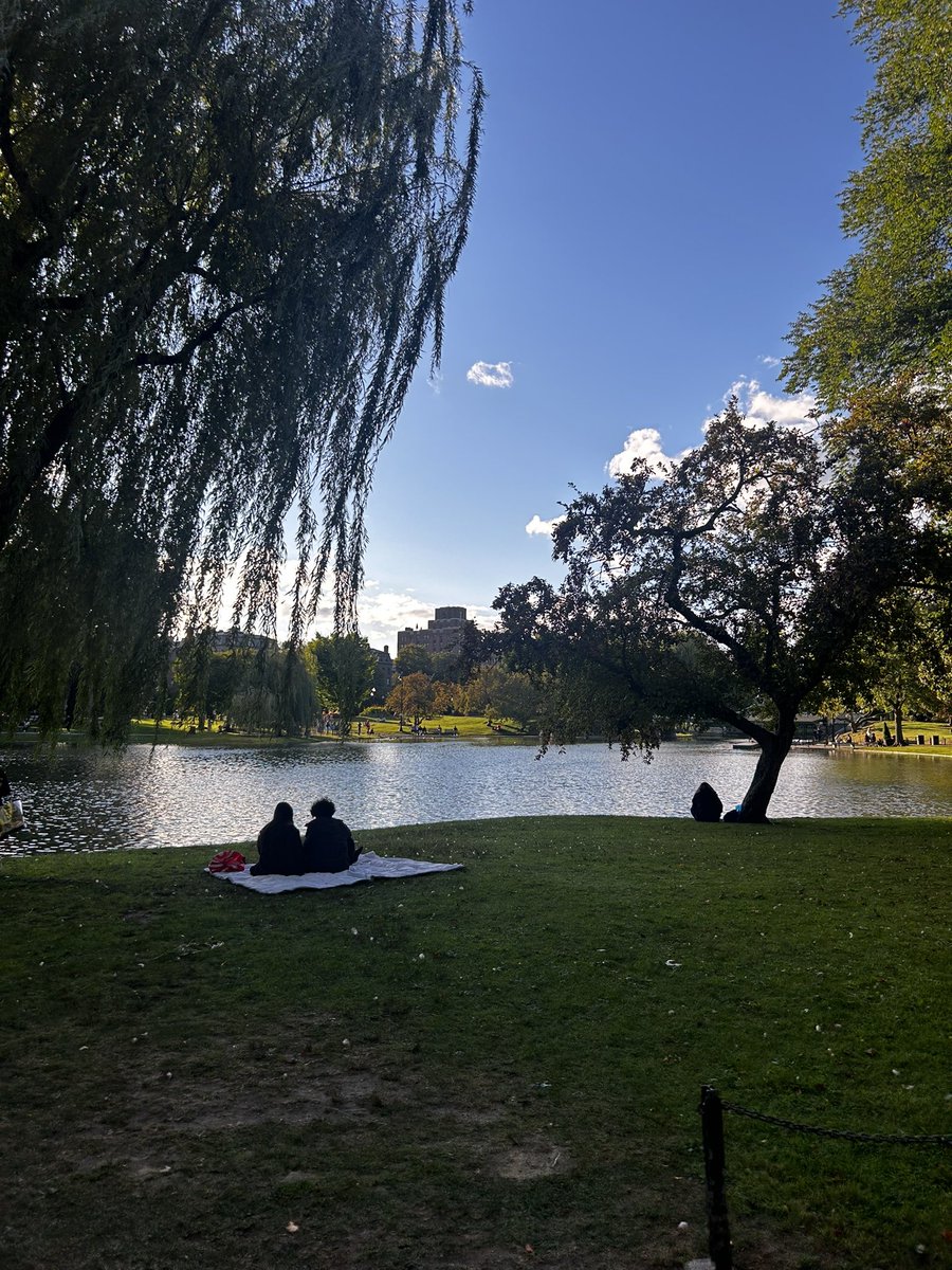 Neil Pierre-Louis tweet media