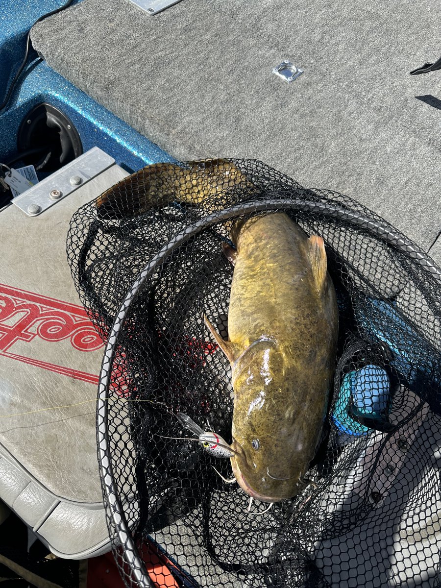 Sometimes, your daughter just blows out your personal best catfish, and it is a good day!

<a href="/SkeeterTeam/">Skeeter Products, INC.</a>, <a href="/HumminbirdFish/">HumminbirdFish</a>, <a href="/MinnKotaMotors/">Minn Kota</a>, <a href="/garminfishhunt/">Garmin Fish & Hunt</a>,
<a href="/litimepower/">LiTime</a>,
<a href="/millenniumarine/">Millennium Marine</a>,
<a href="/Cabelas/">Cabela's</a>, <a href="/Academy/">Academy Sports + Outdoors</a>