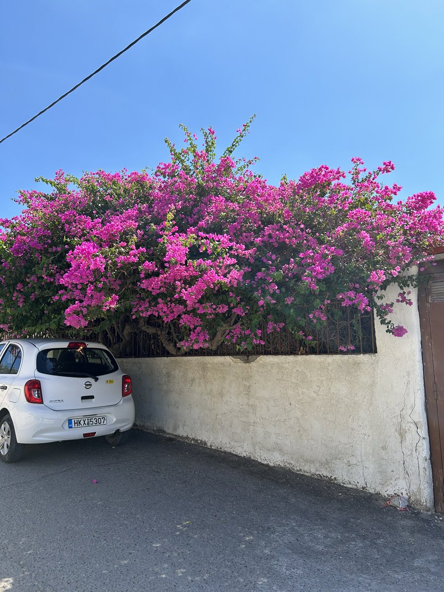 SavineLouise's tweet photo. #NHS1000miles 33.8 walking miles this week. Rest and relax in #pefkos #nursesontour @MarcelleTauber @Marie_Batey @nickthegreenie @kent_cowley #cocktails 🍹🍸 https://t.co/12ozqYsQoe