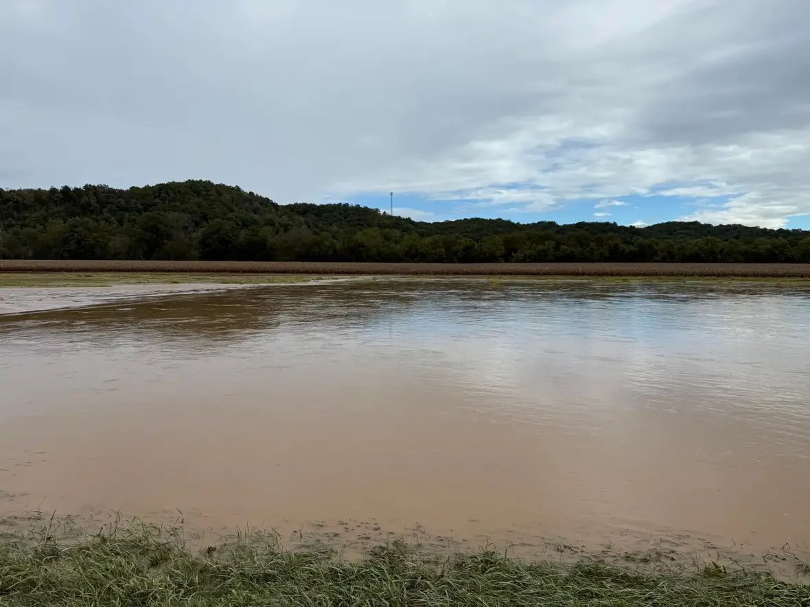 TNFarmBureau's tweet photo. No words to describe how much our hearts are with our folks in East TN reeling from the impact of Hurricane Helene. We are continuing to pray for the days and weeks ahead.

For flood related resources, we encourage you to visit @utextension ➡️ https://t.co/VTWDb7zh9J https://t.co/LJufVWtPk9