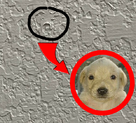 picture of jotchua on my ceiling