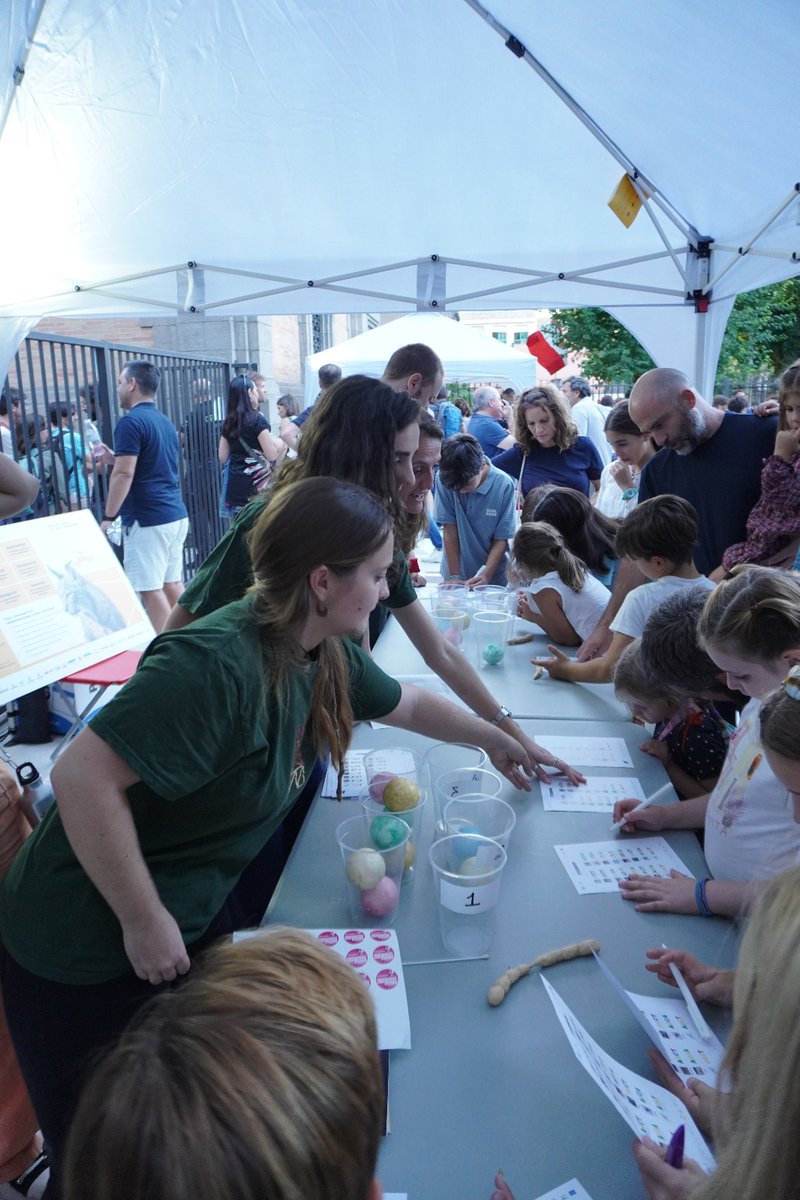 Laia Pérez Sorribes (She/Her) (@lperezsorribes) on Twitter photo 🐱This friday, we have been at the #Nightspain <a href="/CasaCiencia_Sev/">Casa Ciencia Sevilla</a> playing with #IberianLynxpoop!
We have been guessing which #lynx left a mark using #genomics🧬
💩Scats are revolutionizing #conservationefforts!
Stay tunned ➡️<a href="/lynxconnect/">lynxpark</a> <a href="/ebdonana/">Estación Biológica de Doñana - CSIC</a> #phdlife #womeninSTEM 🐱This friday, we have been at the #Nightspain <a href="/CasaCiencia_Sev/">Casa Ciencia Sevilla</a> playing with #IberianLynxpoop!
We have been guessing which #lynx left a mark using #genomics🧬
💩Scats are revolutionizing #conservationefforts!
Stay tunned ➡️<a href="/lynxconnect/">lynxpark</a> <a href="/ebdonana/">Estación Biológica de Doñana - CSIC</a> #phdlife #womeninSTEM