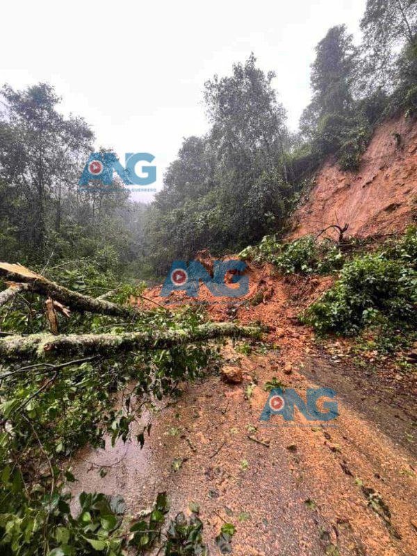 ANoticiasGro's tweet photo. ‼️Ayúdenme a compartir por favor‼️ mi familia esta atrapada en la comunidad de la Sierra de Guerrero Cruz Nueva municipio de Heliodoro Castillo, por reblandecimiento de tierra, se están desgajando los cerros, pedimos el apoyo de la gobernadora Evelyn Salgado https://t.co/KOl9CPWEuE