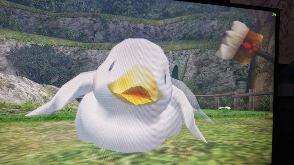 Star_Rats11's tweet photo. Duckie! From monster hunter frontier, don't know his name XD https://t.co/9DCaKNB9Jj