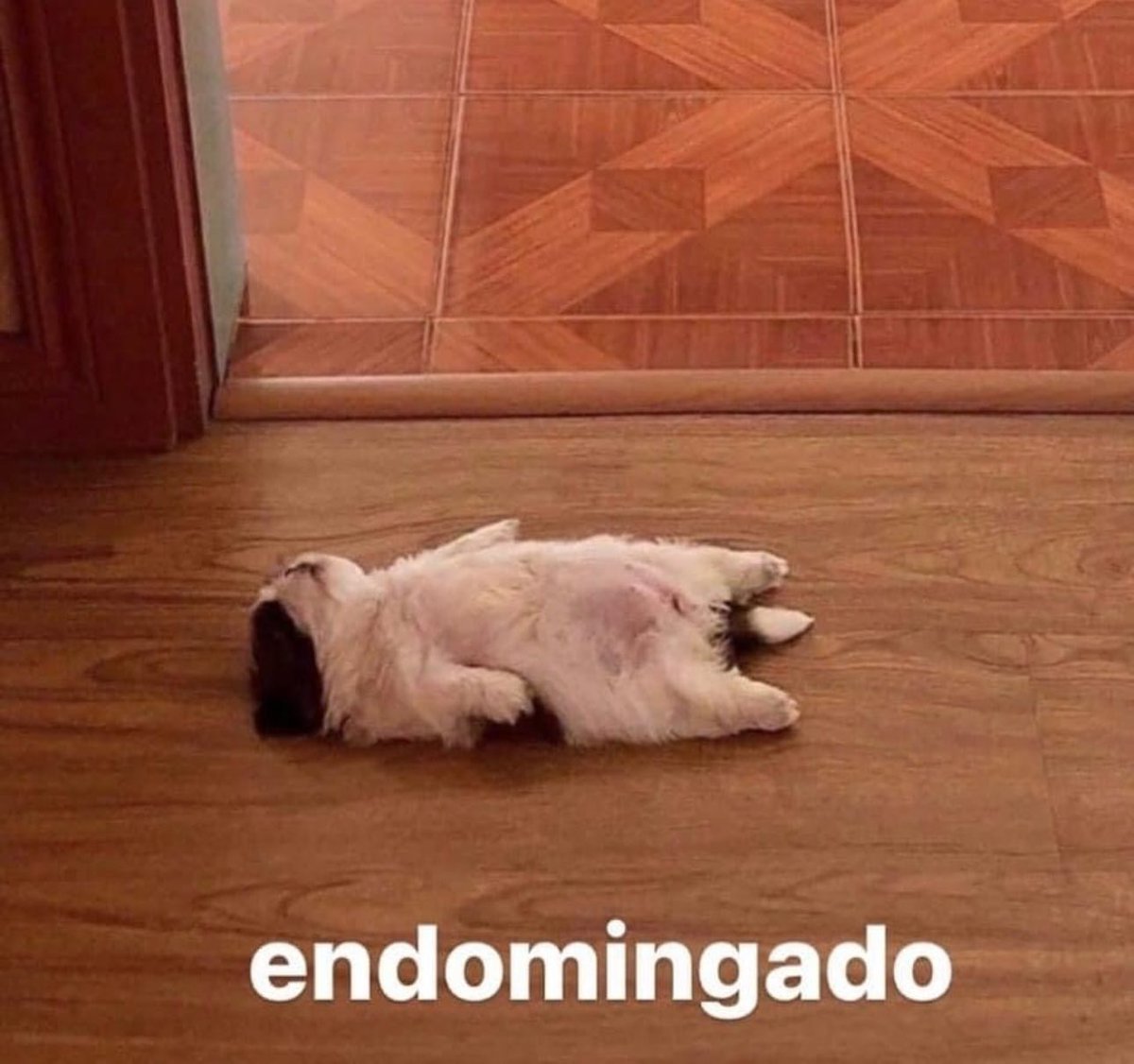 soyMargarlto's tweet photo. Asi es https://t.co/rra8V6L7aR