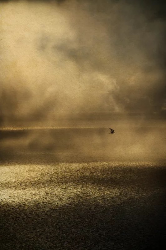 InadeBree's tweet photo. ‘All Profound things, and emotions of things are preceded and attended by Silence. (…) God’s one and only voice is silence.’

Herman Melville

Pierre: or, The Ambiguities, 1852

Albarrán Cabrera, The Mouth of Krishna, 2019 https://t.co/gmBLsDqEaM
