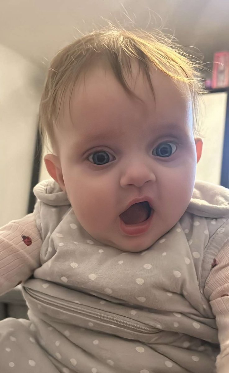 Wayne ison tweet media