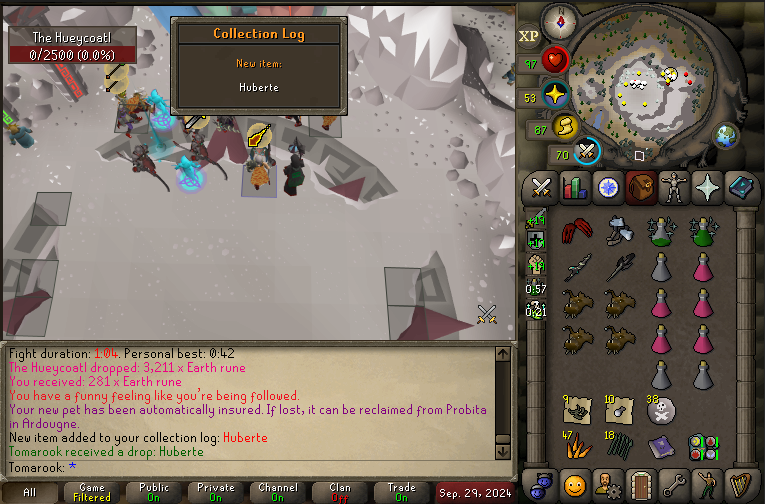 Tomarook_RS's tweet photo. Pet #10 - Huberte #osrs https://t.co/oFUQIBhhiF