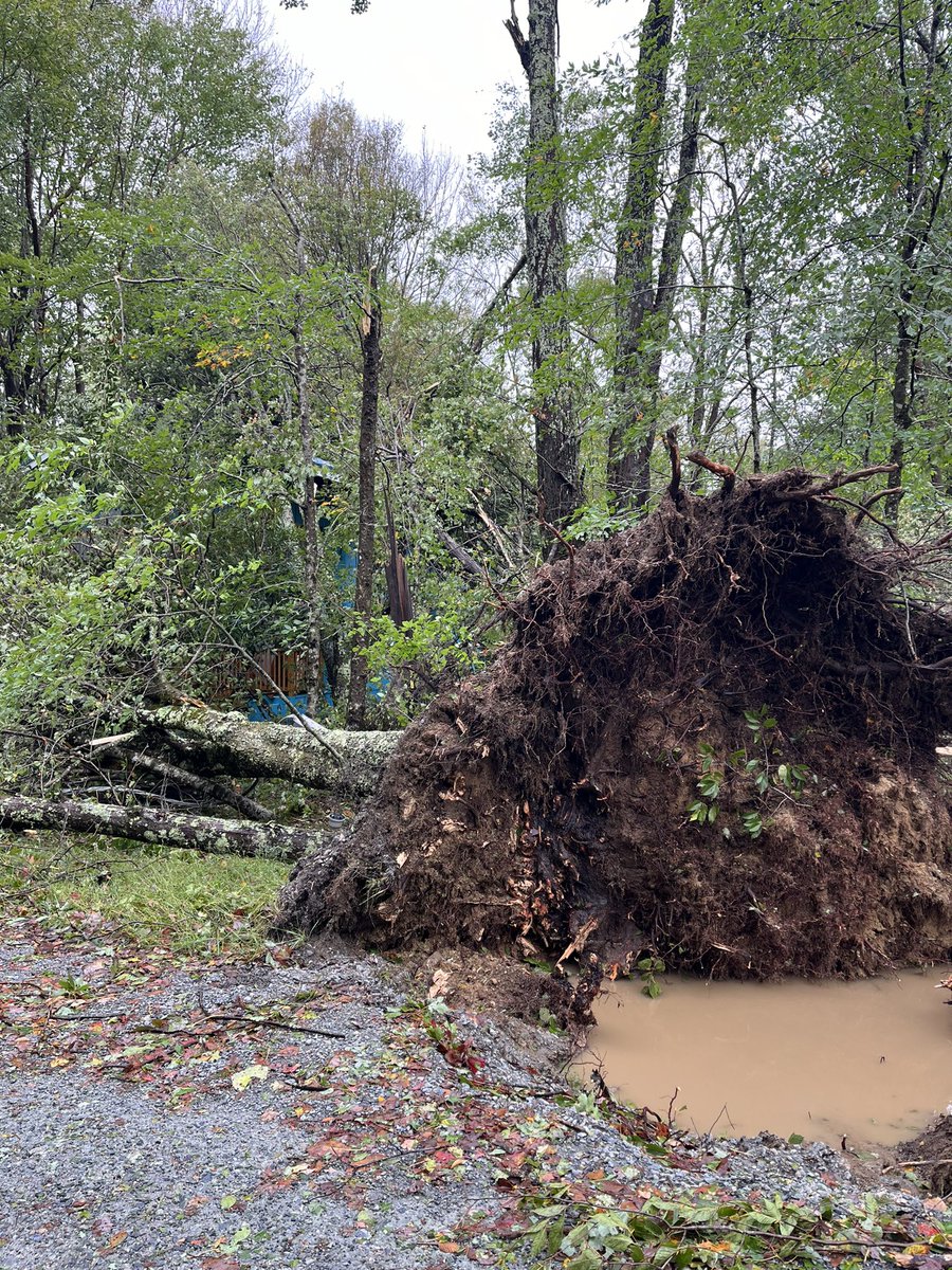 shuffard's tweet photo. Sharing some pictures from beech mountain (charter hills neighborhood at about 4500 ft) in the interest of getting the word out about just how bad things got. Wind and tree damage everywhere https://t.co/jxcSDyGFlP