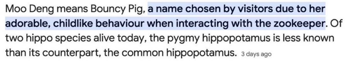 AlphaHunte19762's tweet image. Opinions don’t matter

$bouncy is the FIRST actual #moodeng deployed on September 8

Moo deng = bouncy pig (translated to english) 

AND 

“Bouncy pig (moo deng)” is the full name of the token. The ticker is $bouncy 

1. $bouncy IS moodeng - FACT
2. Blockchain is THE TRUTH.