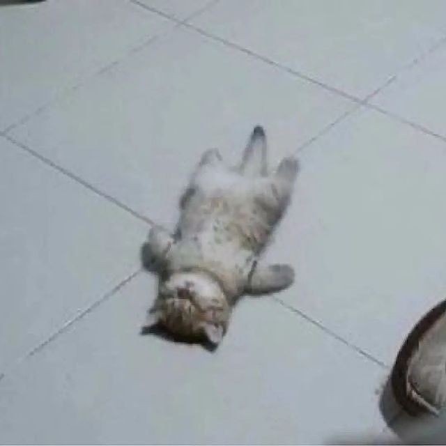 яяяя очень сильно устала у меня болит голова и хочется плакать (но я работаю)