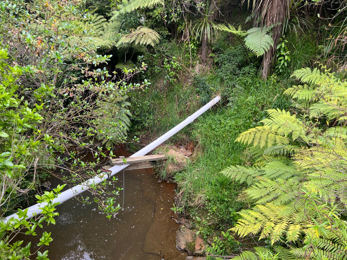 willdento's tweet photo. @watercare_nz Maybe time for another look @watercare_nz 
Pipe support has collapsed and is now doing the opposite of its job. I don’t want poo in my local creek https://t.co/ESJIw1pCX9