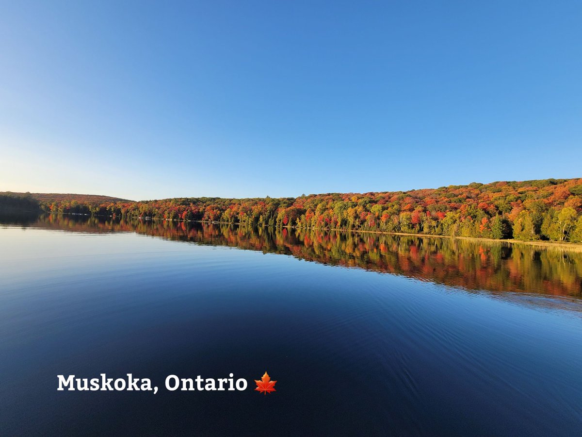🍂 Escape to Fall <a href="/CanuckGrandview/">The Canuck at Grandview 🌲🌲</a> 
Adventure awaits with nearby provincial parks, including the stunning Algonquin Provincial Park. Hike through scenic trails, paddle on peaceful lakes, or simply soak in the beauty of nature. 🌲🚣‍♂️
Book your fall getaway today!