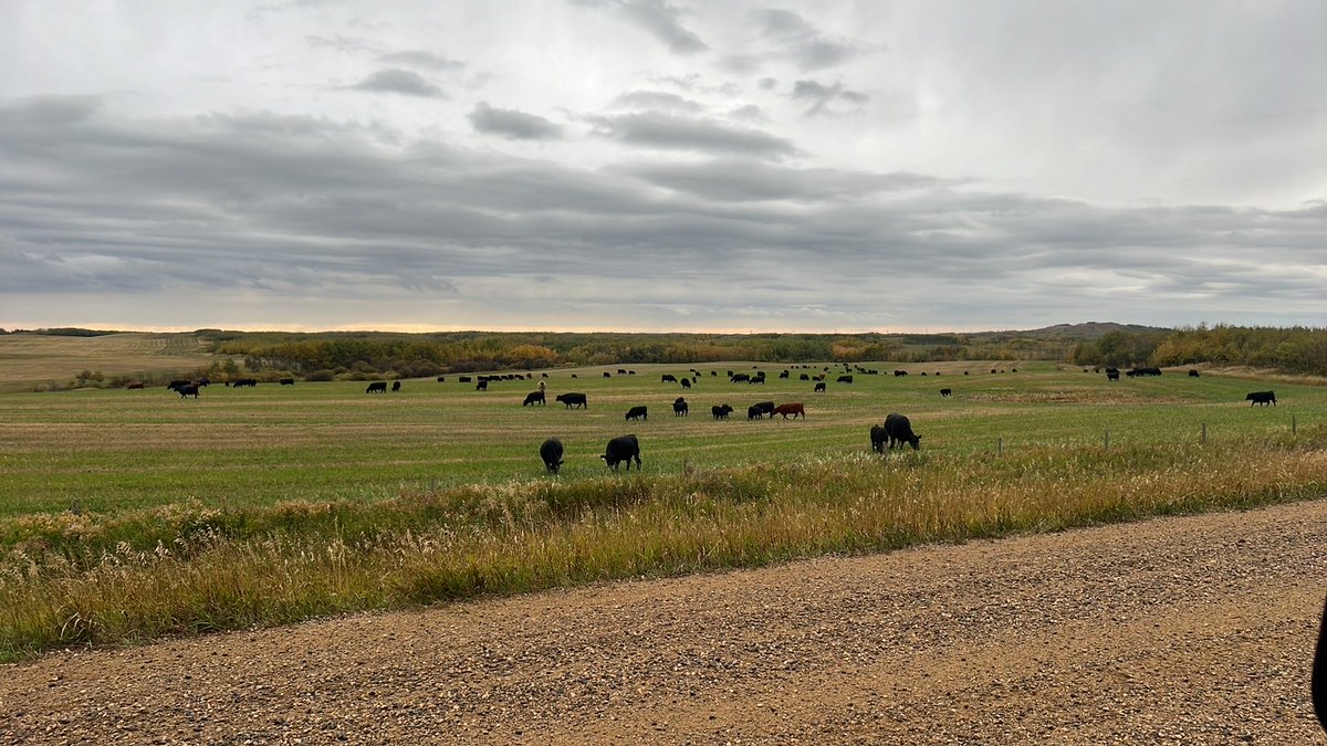 Rod Turner tweet media