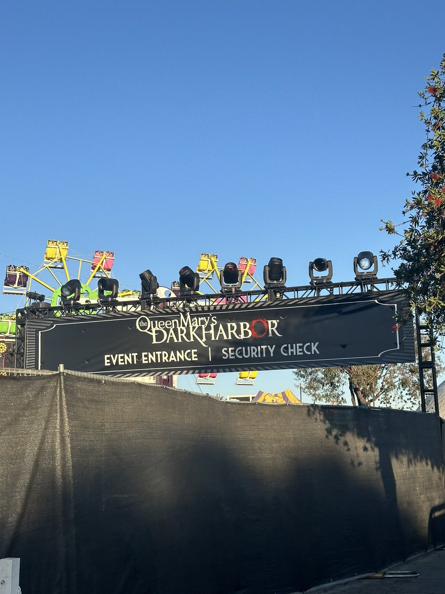 TLEV Media tweet media