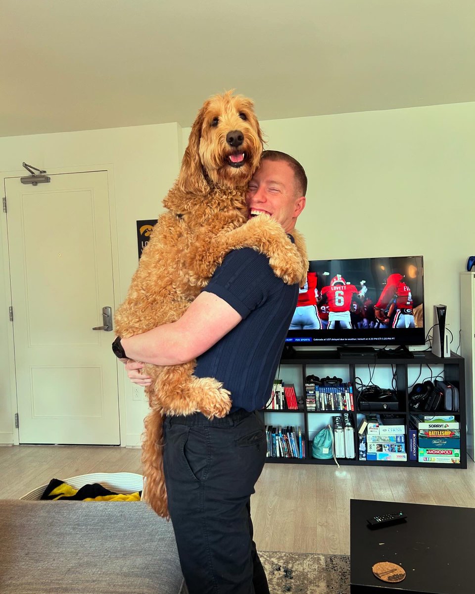 Johntoon13's tweet photo. Your local dog content https://t.co/Pa8NHxATbf