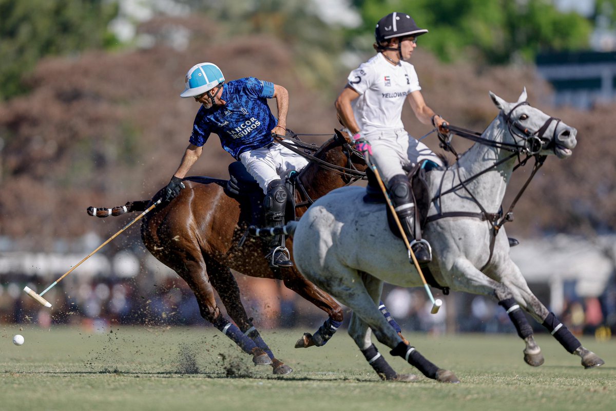 Asoc. Arg. de Polo tweet media