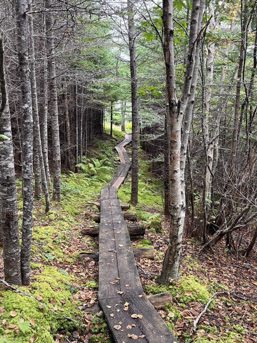 AmandaCMcCallum's tweet photo. Happy World ❤️ Day

The “status” of your heart doesn’t have to be complicated! On  #WorldHeartDay, let's take a moment to take care our hearts, both physically and emotionally.

#GetOutside #ExploreNL #HealthyLiving #ECTLove #WorldHeartDay2024

📍Stiles Cove Path, Pouch Cove, NL https://t.co/06sZs8cnfr
