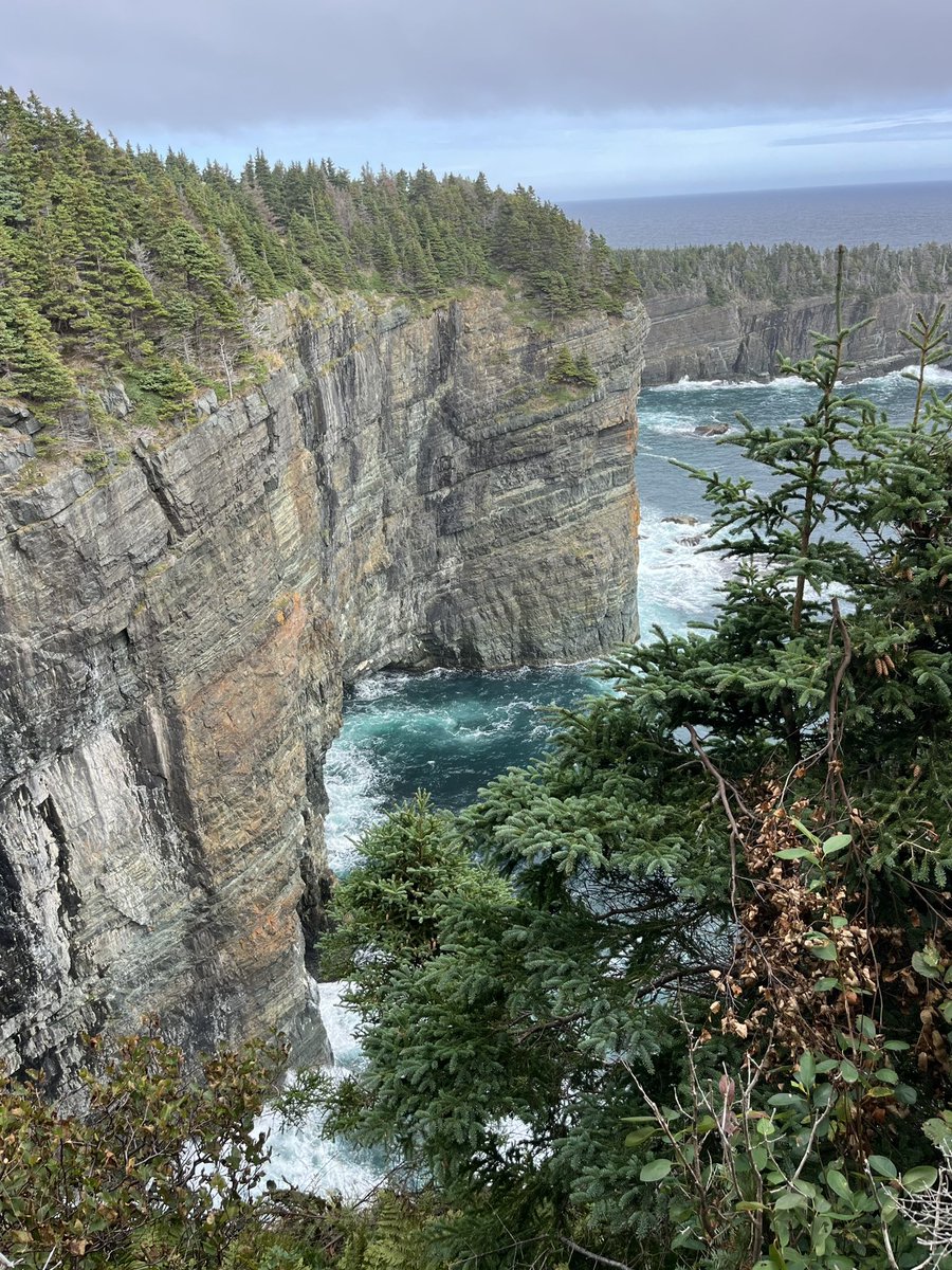 AmandaCMcCallum's tweet photo. Happy World ❤️ Day

The “status” of your heart doesn’t have to be complicated! On  #WorldHeartDay, let's take a moment to take care our hearts, both physically and emotionally.

#GetOutside #ExploreNL #HealthyLiving #ECTLove #WorldHeartDay2024

📍Stiles Cove Path, Pouch Cove, NL https://t.co/06sZs8cnfr