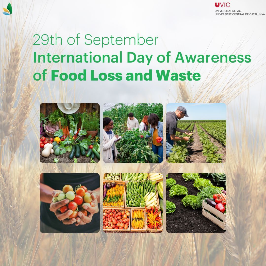 🥗 On September 29, we raise awareness about food loss and waste!

FAO reports show 1.3 to 1.6 billion tons of food are lost each year, worsening food insecurity and harming our 🌍 environment with greenhouse gas emissions and water waste. 🌱 

#FoodWaste #Sustainability #FLWDay