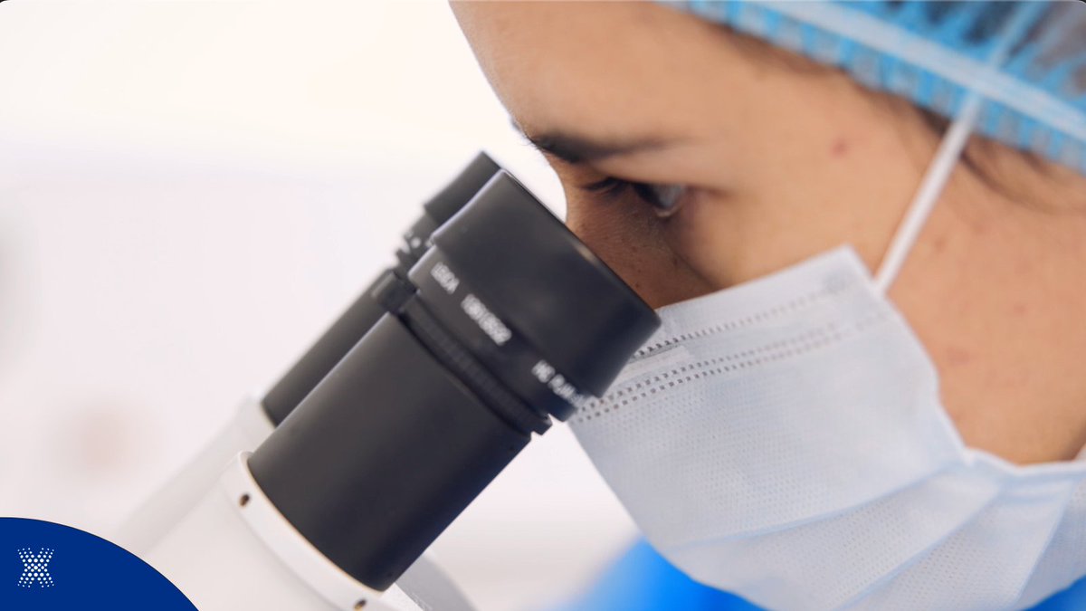 bioXcellerator's tweet image. What do you know about hypoxic cells and their benefits? 
Share your knowledge with us! 

Learn More: brnw.ch/21wNiaw 
#BioXcellerator, #StemCells, #HypoxicCells, #Engage