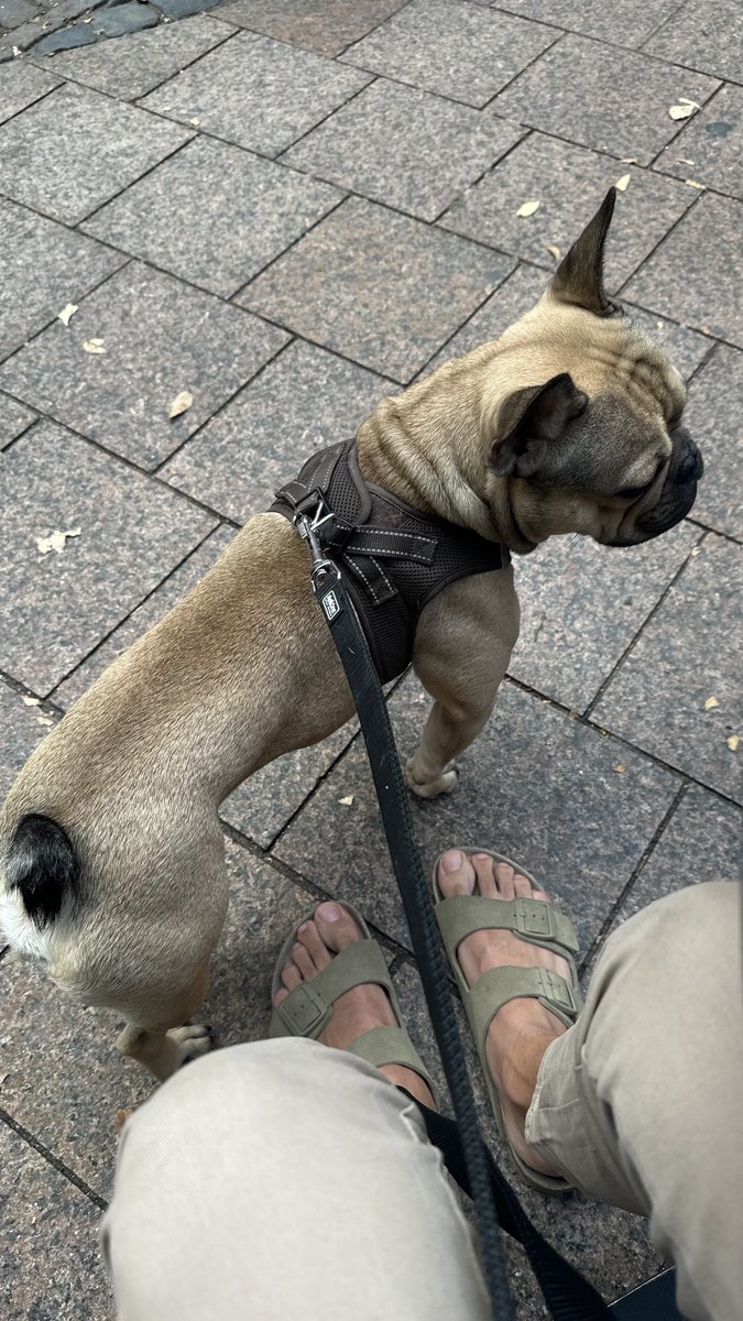 hasnight_'s tweet image. un dimanche d’automne à Toulouse sous 22° avec mon neveu d’amour le plus beau #LGBTQIAWelcomeAutumn