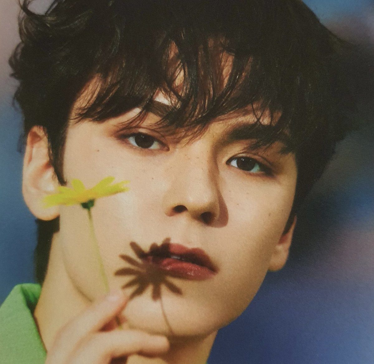 chweposts's tweet photo. please always give vernon freckles 🙏 https://t.co/qXgD8JgXZw