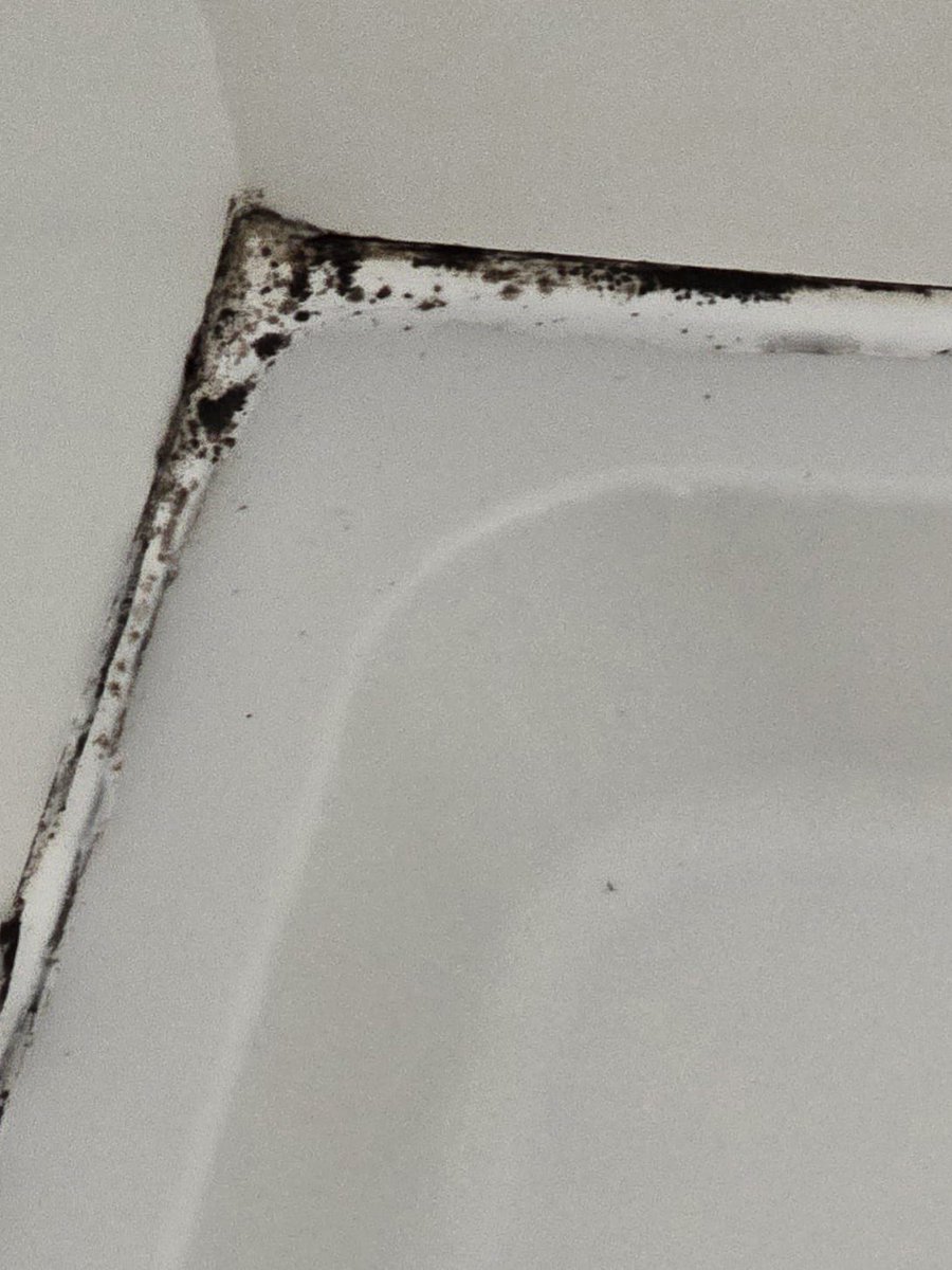 Patrick Chance 💙 🇫🇷 🇬🇧 tweet media