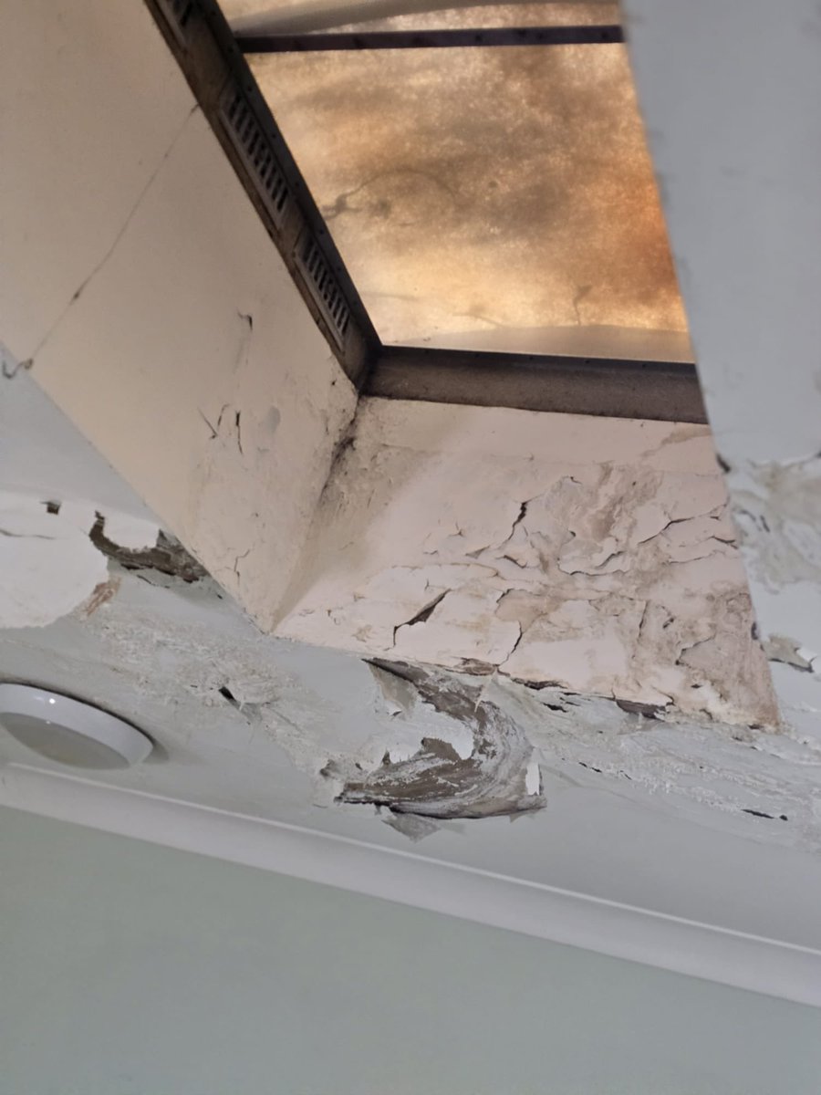 Patrick Chance 💙 🇫🇷 🇬🇧 tweet media