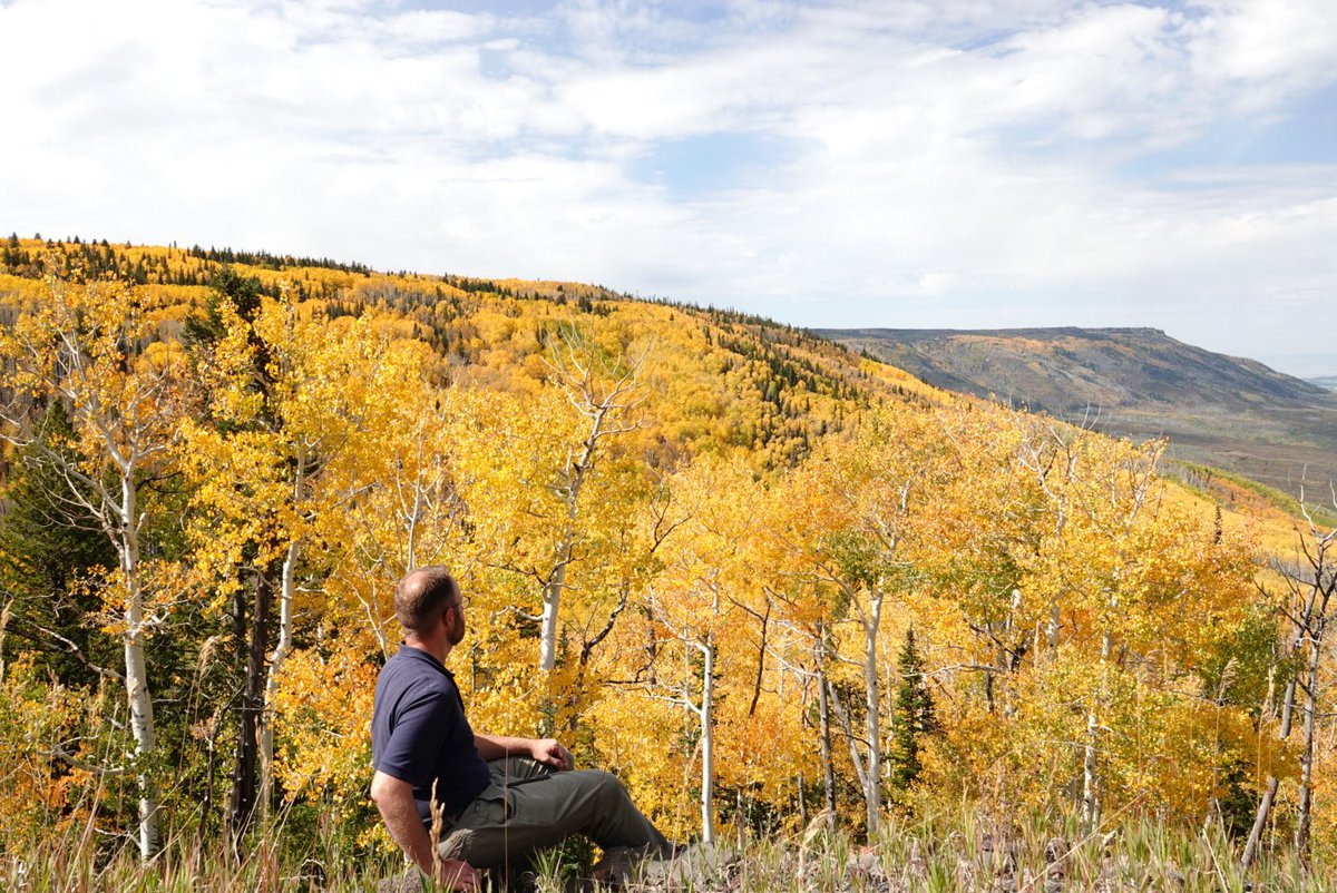 SoperMatthew's tweet photo. Admiring the beauty of God’s creation - nature - on this gorgeous Color Sunday on Grand Mesa! #copolitics #westslopebestslope #soperhd54 #repsoper #grandmesa #fallfoliage #fallcolors #autumncolors https://t.co/bPTvH4d3NU