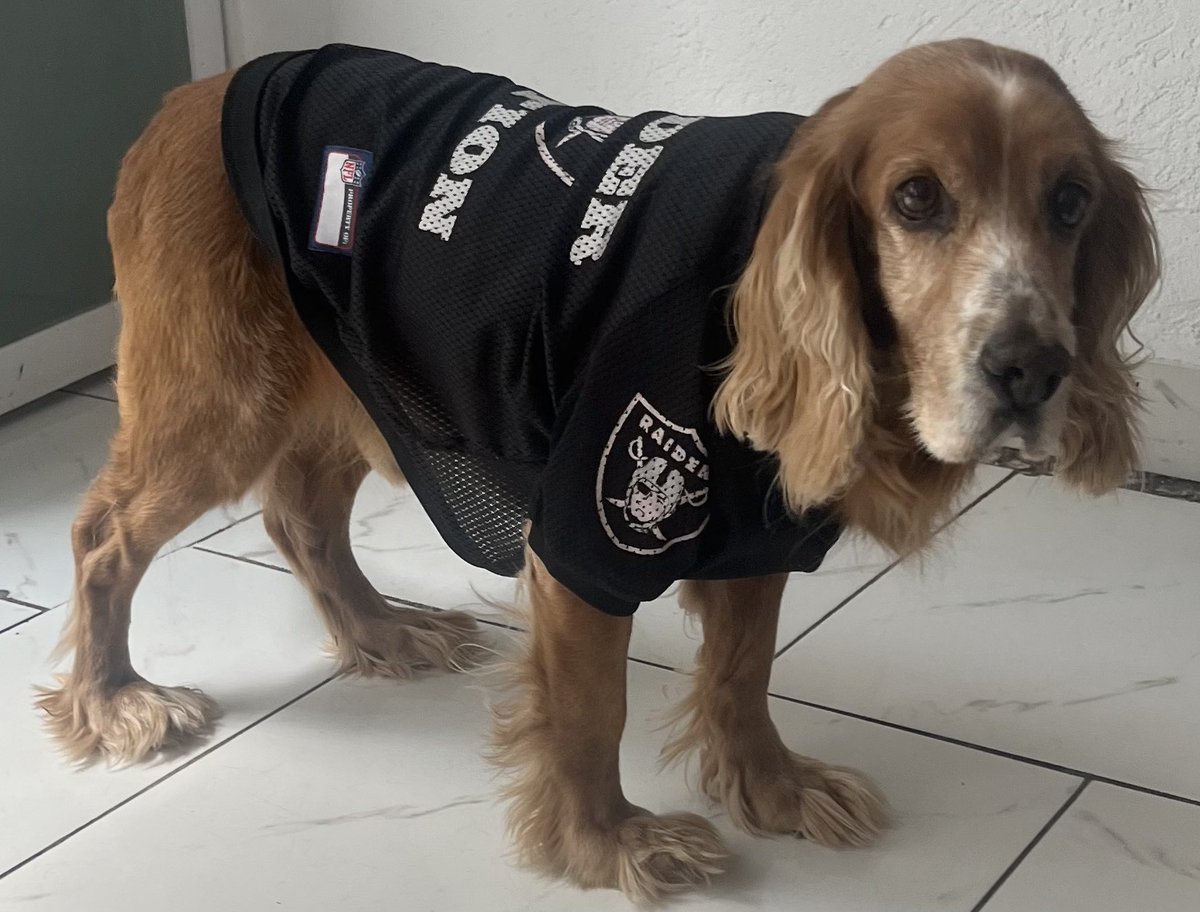 daniel_redacta's tweet photo. #FOXImpactoNFL Manolito sí sabe de NFL https://t.co/yO0GtnsKVz